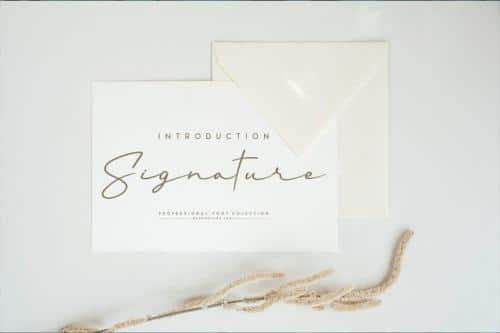 Antonim Script Font 1