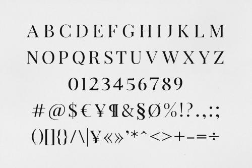 Arterio Serif Font Family 1