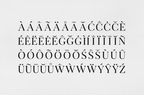 Arterio Serif Font Family 2