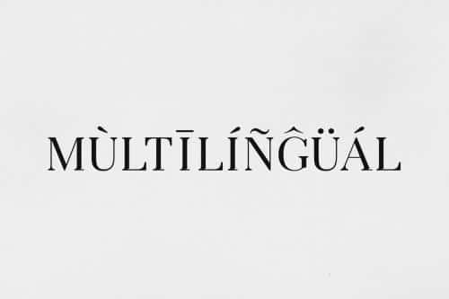 Arterio Serif Font Family 3