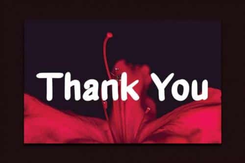 Azalea Handwritten Font 4