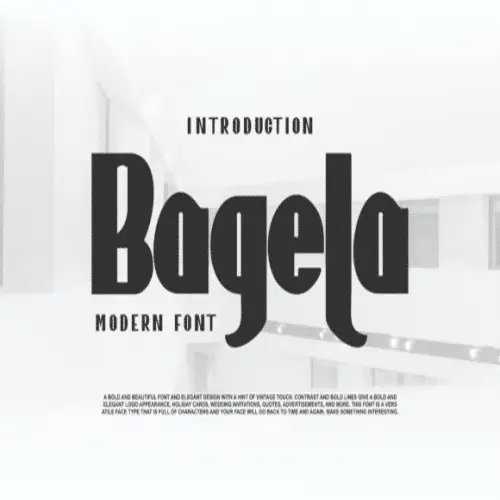 Bagela-Sans-Serif-Font--0
