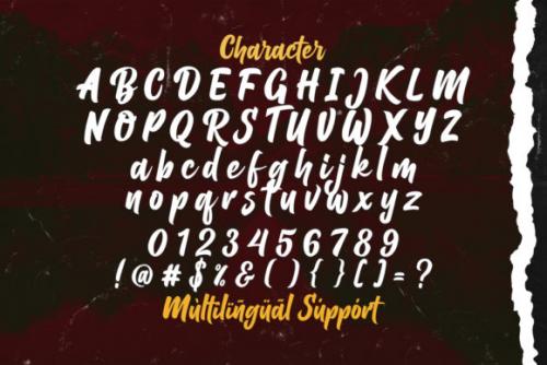 Balhgi Rizetons Brush Font  13