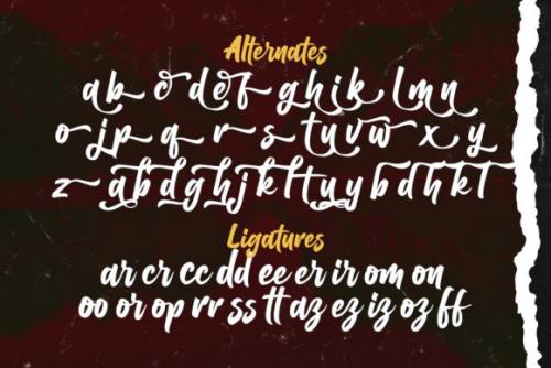 Balhgi Rizetons Brush Font  14