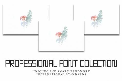 Begonia Display Font 2