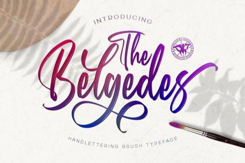 Belgedes Brush Script Font