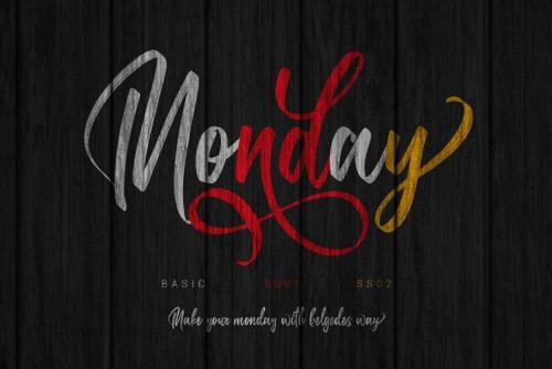 Belgedes Brush Script Font 5