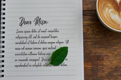 Belgedes Brush Script Font 9