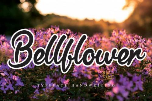 Bellflower Handwritten Font