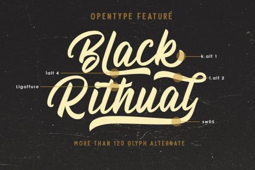 Billskates Script Font 5