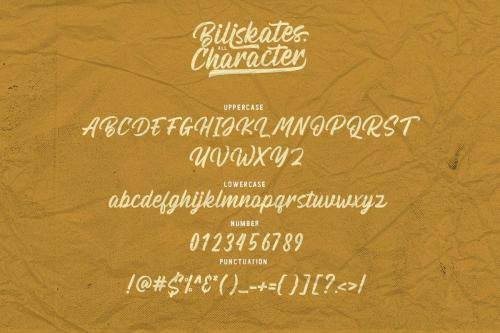 Billskates Script Font 6