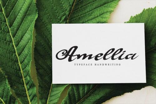 Bluebell Script Font 3