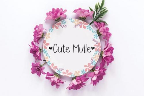 Bollea Flower Handwritten Font 1