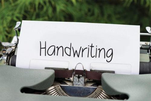 Bollea Flower Handwritten Font 2