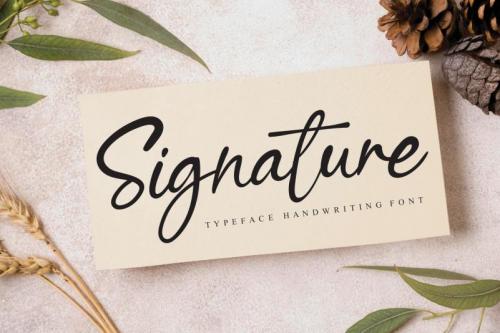 Bright Cheerful Script Font 4