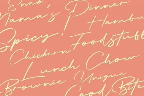 Briquete Handwritten Font 5