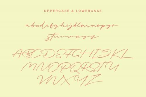 Briquete Handwritten Font  12