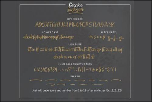 Brocke Jackson Script Font 9