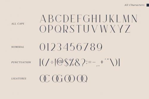 Brooke Serif Font 10