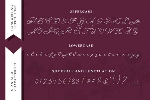 Budapest Girl Handwritten Font  1