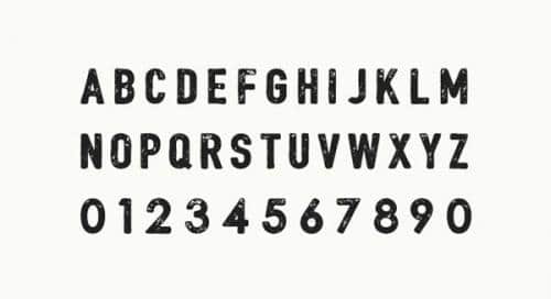 Bushcraft Font Family  2