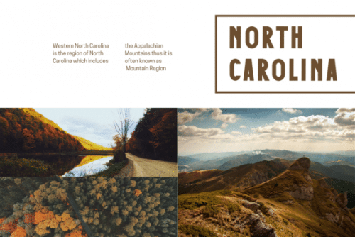 Caffe Bold Display Font  3