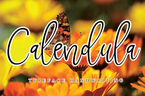 Calendula Handwritten Font
