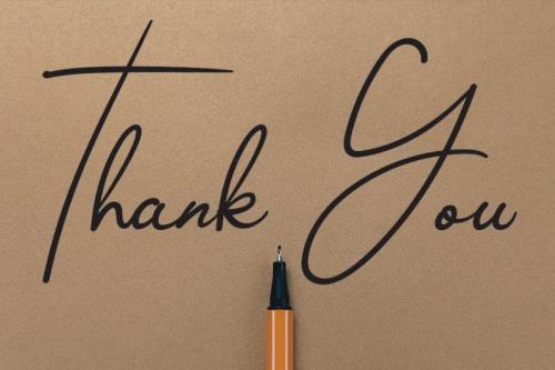 Camelliani Script Font 4