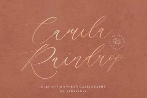 Camila Raindrop Script Font