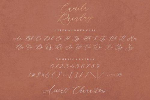 Camila Raindrop Script Font  5