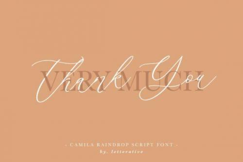 Camila Raindrop Script Font  6