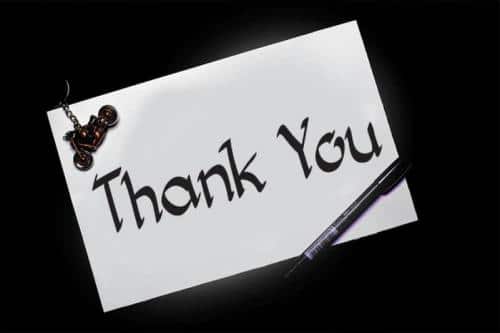 Carnation Flower Font 4