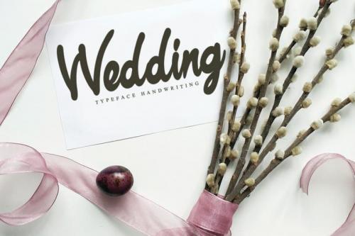 Carnation Handwritten Font 1