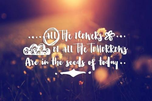 Charisma Brush Fonts with Extras 1