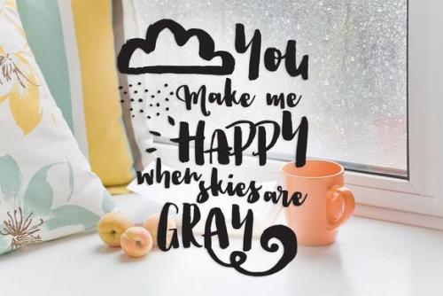 Charisma Brush Fonts with Extras 3