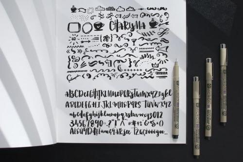 Charisma Brush Fonts with Extras 6