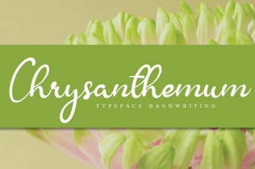 Chrysanthemum Handwritten Font