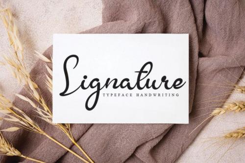 Chrysanthemum Handwritten Font 1