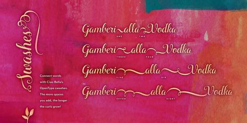 Ciao Bella Font Family 1