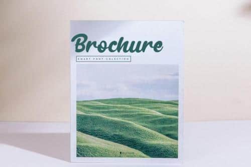 Coffee Script Font  1