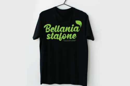 Coffee Script Font  4