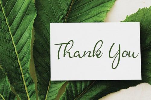 Corpse Flower Font 4