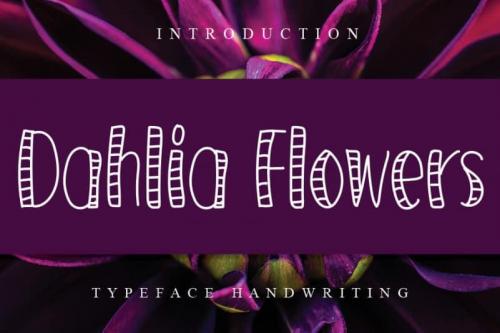 Dahlia Flowers Display Font