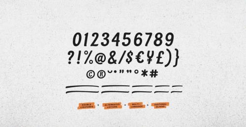 Daily Grind Script Font  3