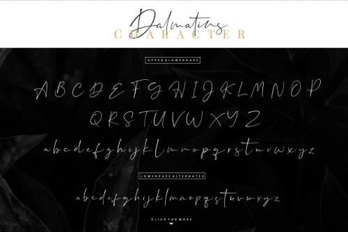 Dalmatins Signature Font  9