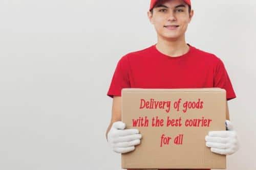 Dellia Flower Display Font  3