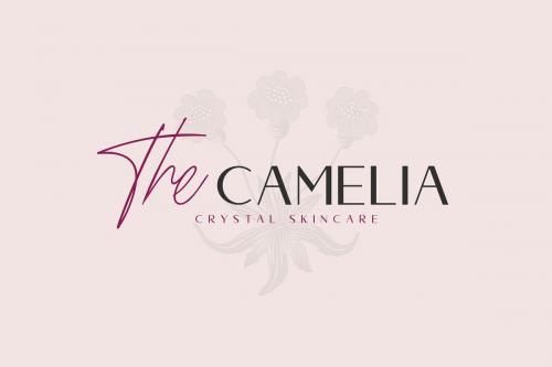 Dellmonte Sans Font  2