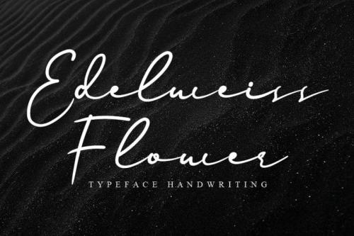 Edelweiss Flower Handwritten Font