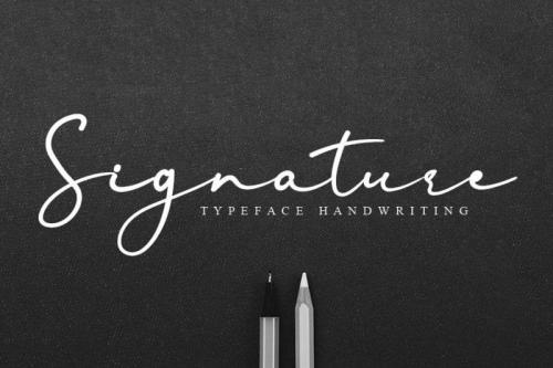 Edelweiss Flower Handwritten Font 3