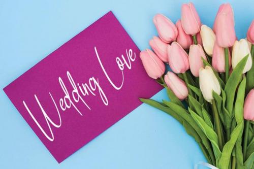 Eidelweis Signature Script Font 1